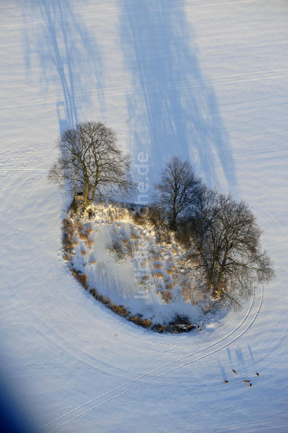 Luftbild Frankenfelde - Winterlandschaft im Bundesland Brandenburg