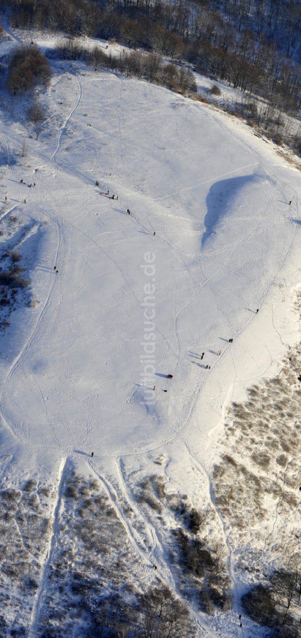 Berlin von oben - Winterlandschaft am Rodelberg am Teufelsberg in Berlin