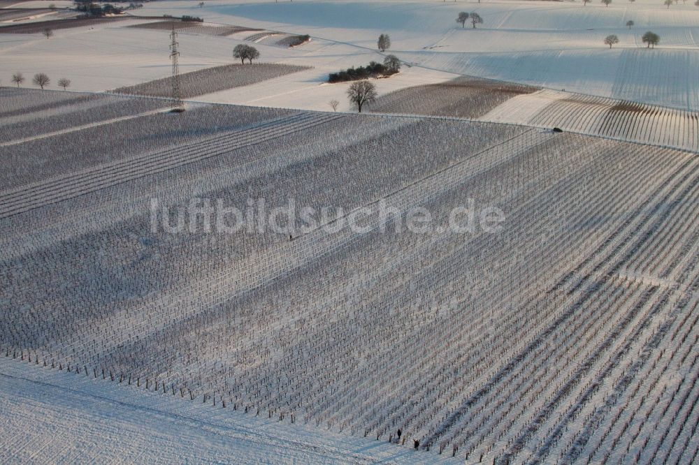 Luftbild Dierbach - Winterlich beschneite Weinbergs- Landschaft mit Winzer beim Rebenschnitt in Dierbach im Bundesland Rheinland-Pfalz