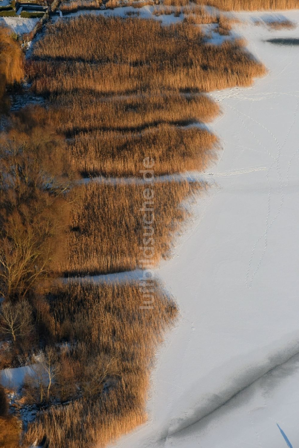 Luftbild Päwesin - Winterlich schnee- und eisbedeckte Schilfflächen der See- Uferbereiche in Bollmannsruh im Bundesland Brandenburg