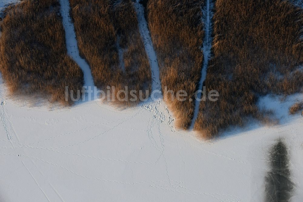 Luftaufnahme Päwesin - Winterlich schnee- und eisbedeckte Schilfflächen der See- Uferbereiche in Bollmannsruh im Bundesland Brandenburg