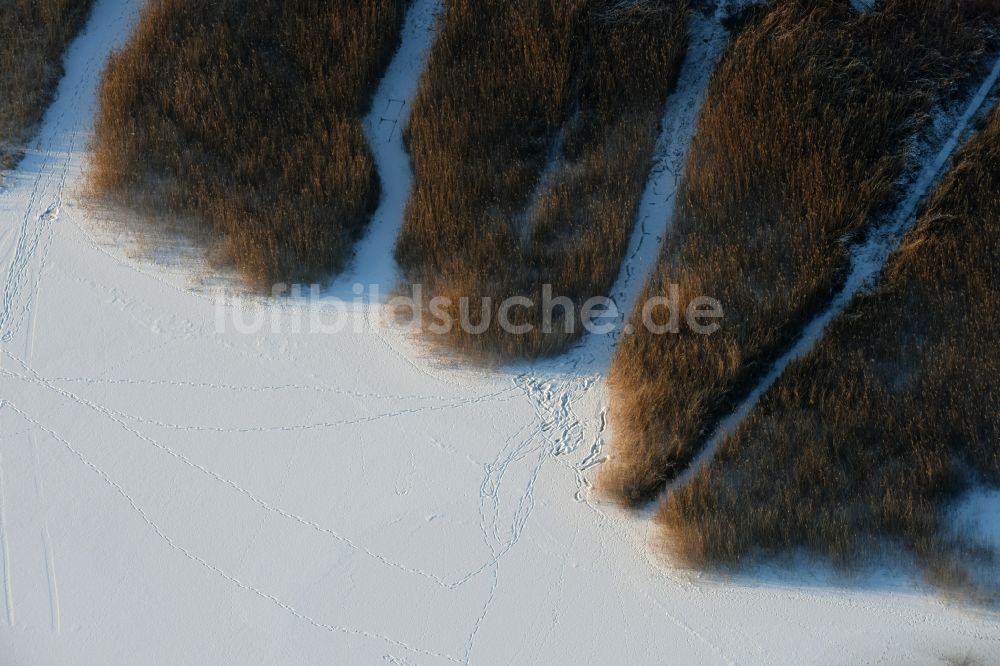 Luftbild Päwesin - Winterlich schnee- und eisbedeckte Schilfflächen der See- Uferbereiche in Bollmannsruh im Bundesland Brandenburg