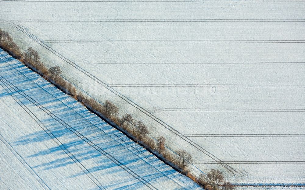 Werl von oben - Winterlich schneebedeckte Baumreihe an einer Landstraße an einem Feldrand in Werl im Bundesland Nordrhein-Westfalen