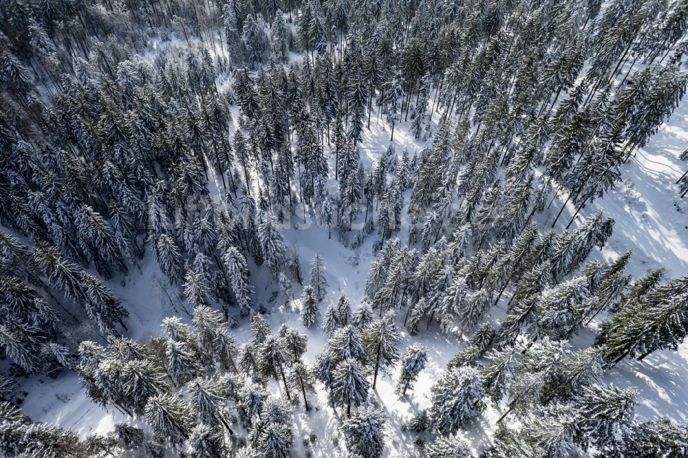 Achern aus der Vogelperspektive: Winterlich schneebedeckte Baumspitzen in einem Waldgebiet in Achern im Bundesland Baden-Württemberg