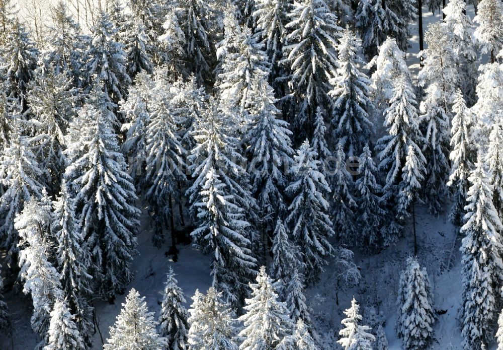 Katzhütte aus der Vogelperspektive: Winterlich schneebedeckte Baumspitzen in einem Waldgebiet in Katzhütte im Bundesland Thüringen