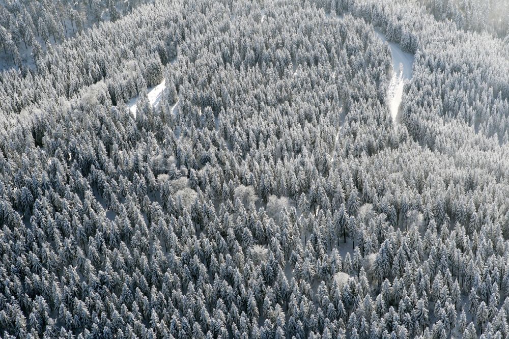 Luftbild Katzhütte - Winterlich schneebedeckte Baumspitzen in einem Waldgebiet in Katzhütte im Bundesland Thüringen