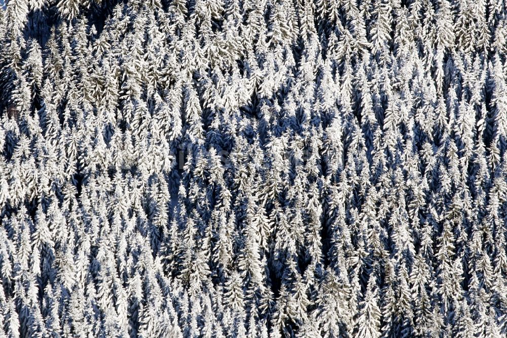 Luftaufnahme Katzhütte - Winterlich schneebedeckte Baumspitzen in einem Waldgebiet in Katzhütte im Bundesland Thüringen