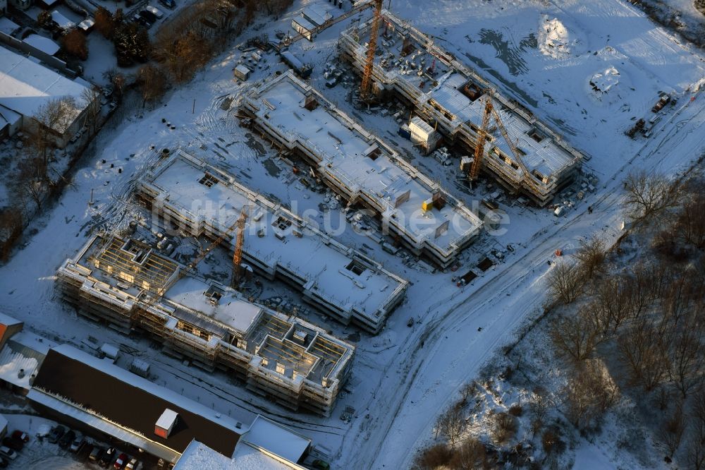 Berlin von oben - Winterlich schneebedeckte Baustelle zum Neubau einer Mehrfamilienhaus-Wohnanlage An der Schule im Stadtteil Mahlsdorf in Berlin