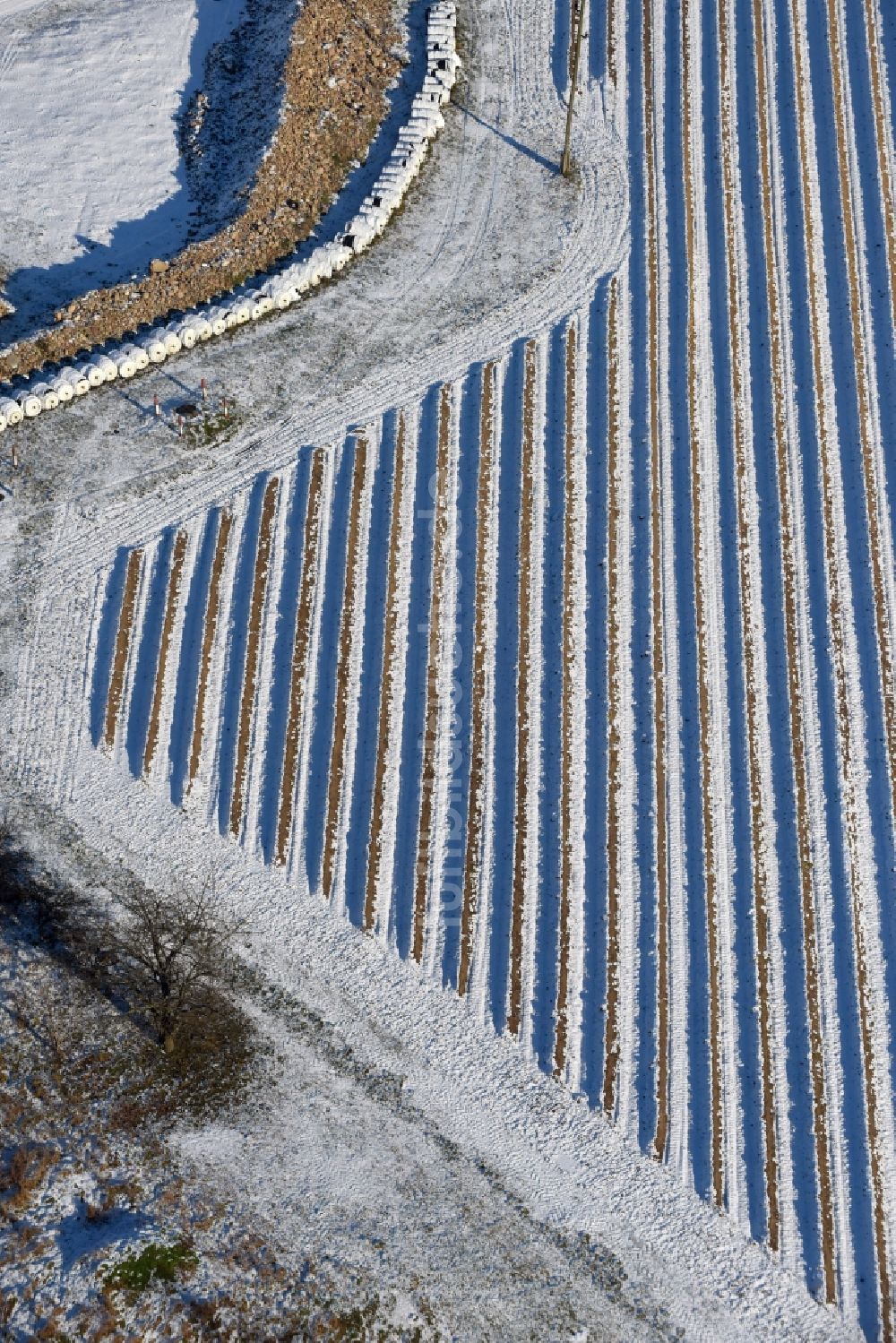 Beetzseeheide von oben - Winterlich schneebedeckte Reihen mit Spargel- Anbau auf Feld- Flächen beim Vielfruchthof Domstiftsgut Mötzow am Gutshof in Beetzseeheide im Bundesland Brandenburg