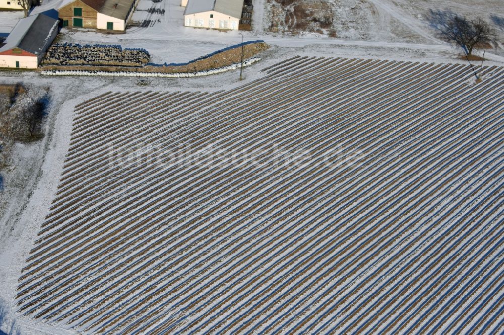 Luftaufnahme Beetzseeheide - Winterlich schneebedeckte Reihen mit Spargel- Anbau auf Feld- Flächen beim Vielfruchthof Domstiftsgut Mötzow am Gutshof in Beetzseeheide im Bundesland Brandenburg