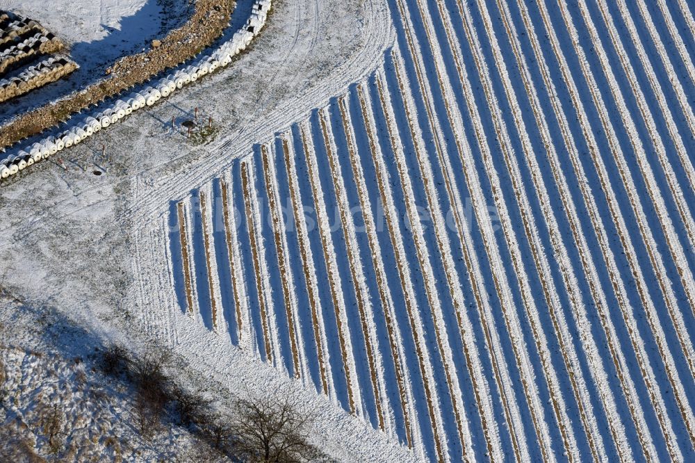 Beetzseeheide von oben - Winterlich schneebedeckte Reihen mit Spargel- Anbau auf Feld- Flächen beim Vielfruchthof Domstiftsgut Mötzow am Gutshof in Beetzseeheide im Bundesland Brandenburg