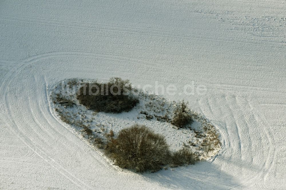 Altlandsberg von oben - Winterlich schneebedeckte Strukturen auf landwirtschaftlichen Feldern in Altlandsberg im Bundesland Brandenburg