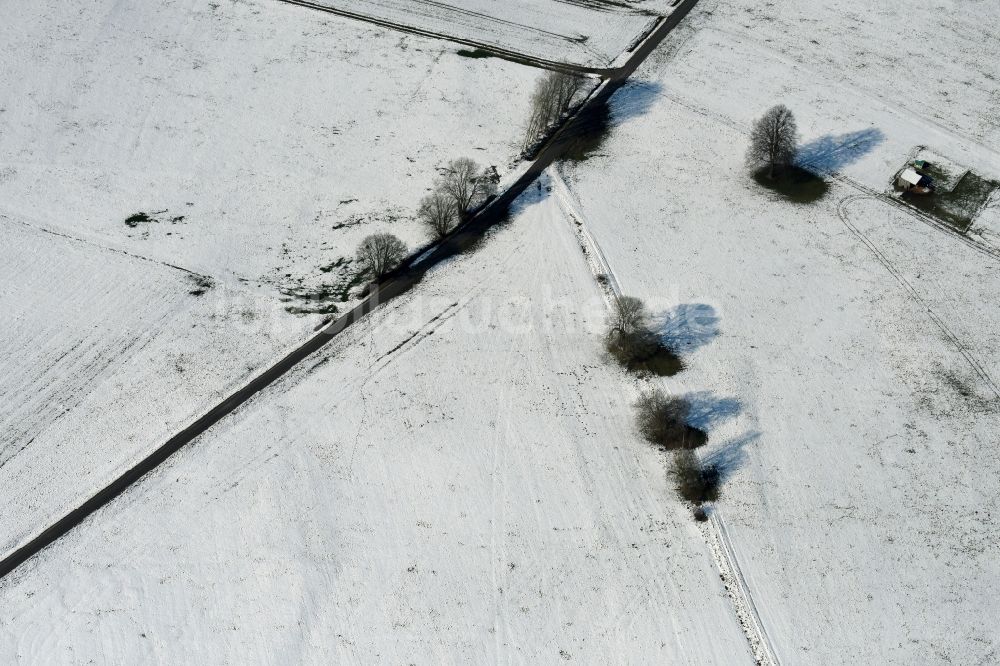 Tann (Rhön) von oben - Winterlich schneebedeckte Strukturen auf landwirtschaftlichen Feldern in Tann (Rhön) im Bundesland Hessen