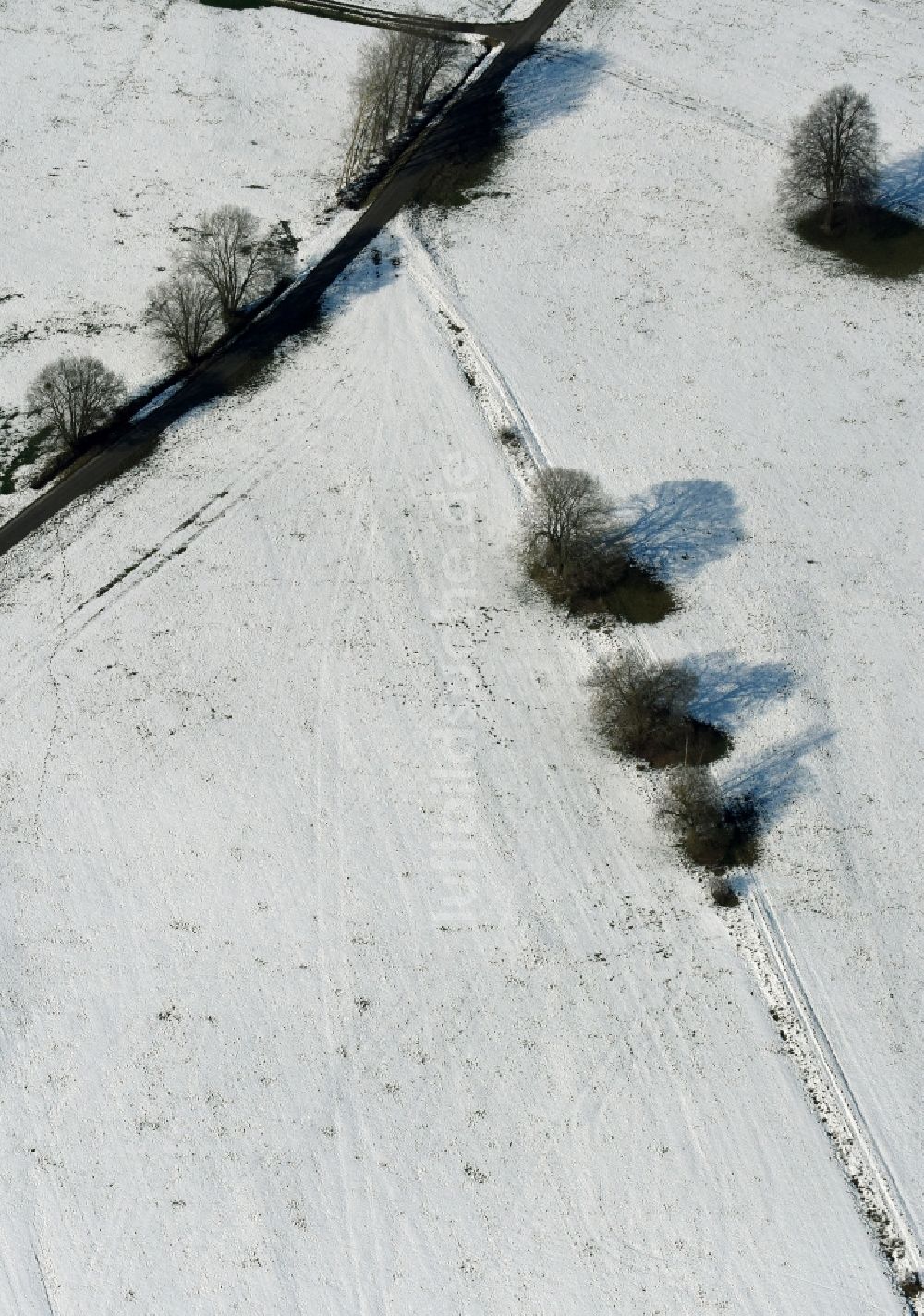 Tann (Rhön) aus der Vogelperspektive: Winterlich schneebedeckte Strukturen auf landwirtschaftlichen Feldern in Tann (Rhön) im Bundesland Hessen