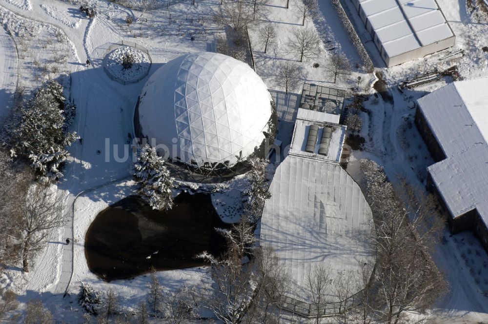 Berlin von oben - Winterlich verschneiten Tierpark Berlin