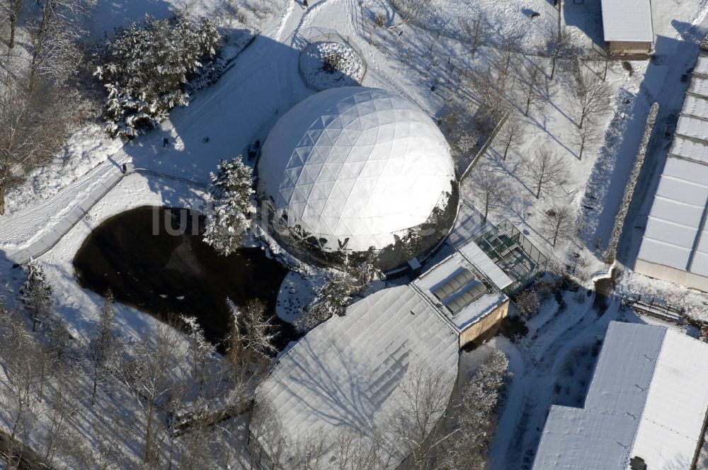 Luftaufnahme Berlin - Winterlich verschneiten Tierpark Berlin