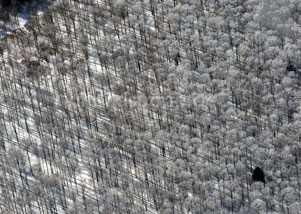 Luftaufnahme Masserberg - Winterlich verschneiter Wald bei Masserberg im Bundesland Thüringen
