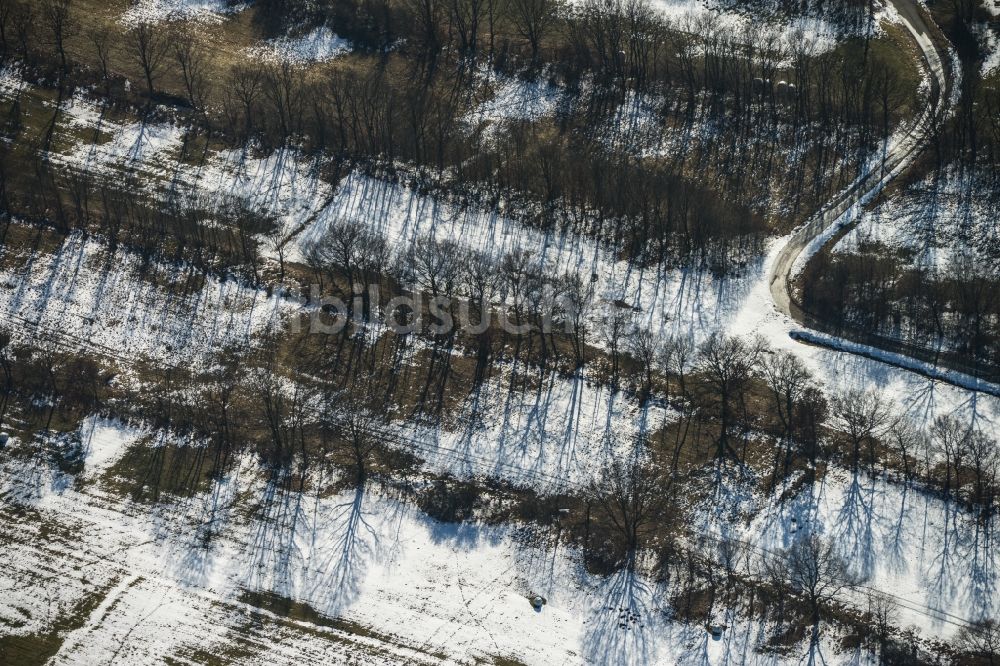 Luftbild Oberelsbach - Winterlich verschneites Feld mit Bäumen in Oberelsbach im Bundesland Bayern