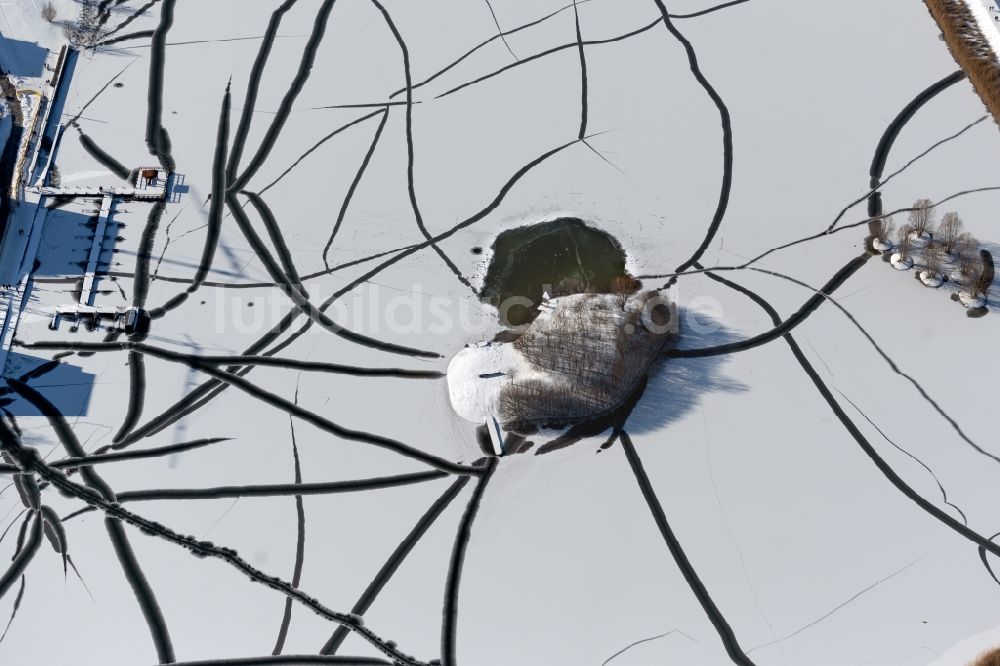 Dortmund aus der Vogelperspektive: Winterluftbild Baum- Insel auf dem zugefrorenen Phoenix See in Dortmund im Bundesland Nordrhein-Westfalen, Deutschland