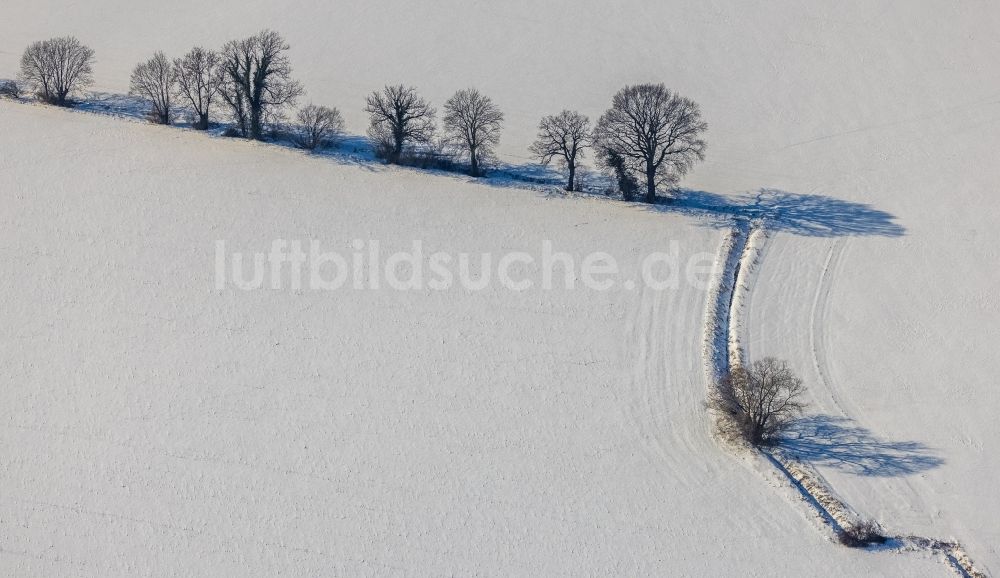 Unna aus der Vogelperspektive: Winterluftbild Baumreihe an einem Feldrand im Ortsteil Afferde in Unna im Bundesland Nordrhein-Westfalen, Deutschland