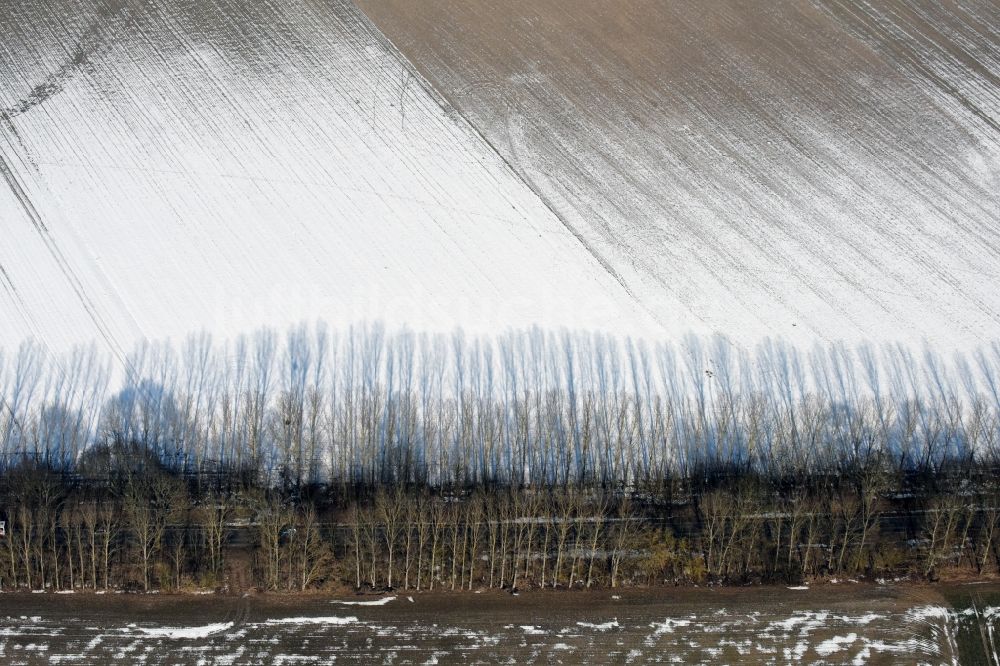 Willmersdorf aus der Vogelperspektive: Winterluftbild Baumreihe an einer Landstraße an einem Feldrand in Willmersdorf im Bundesland Brandenburg