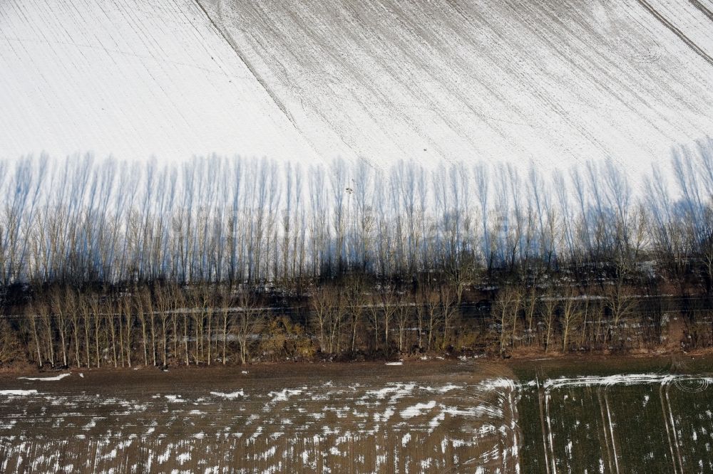 Luftbild Willmersdorf - Winterluftbild Baumreihe an einer Landstraße an einem Feldrand in Willmersdorf im Bundesland Brandenburg