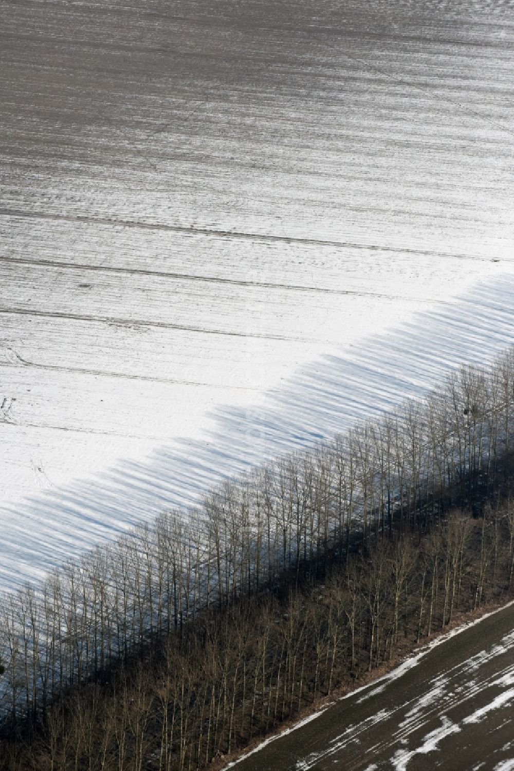 Willmersdorf aus der Vogelperspektive: Winterluftbild Baumreihe an einer Landstraße an einem Feldrand in Willmersdorf im Bundesland Brandenburg