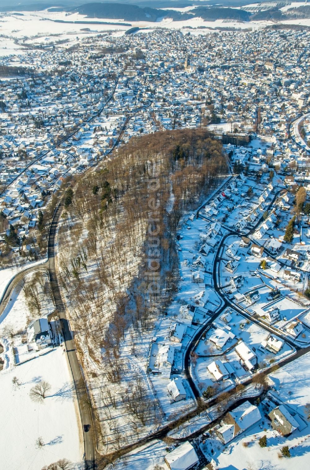 Brilon von oben - Winterluftbild Baumspitzen in einem Waldgebiet in Brilon im Bundesland Nordrhein-Westfalen