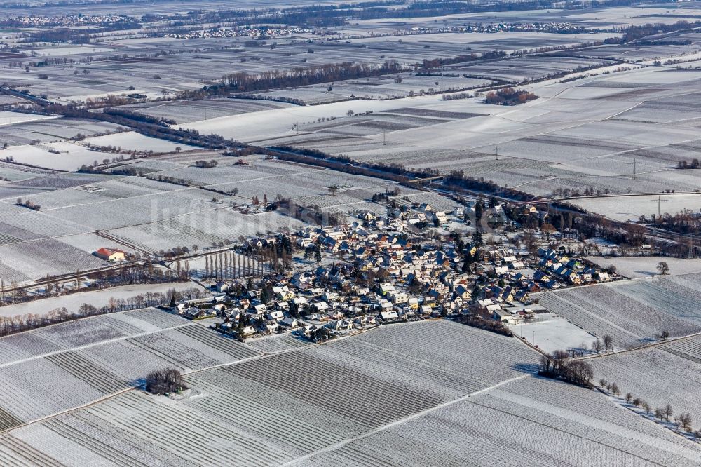 Knöringen von oben - Winterluftbild Dorf - Ansicht am Rande von Feldern in Knöringen im Bundesland Rheinland-Pfalz, Deutschland