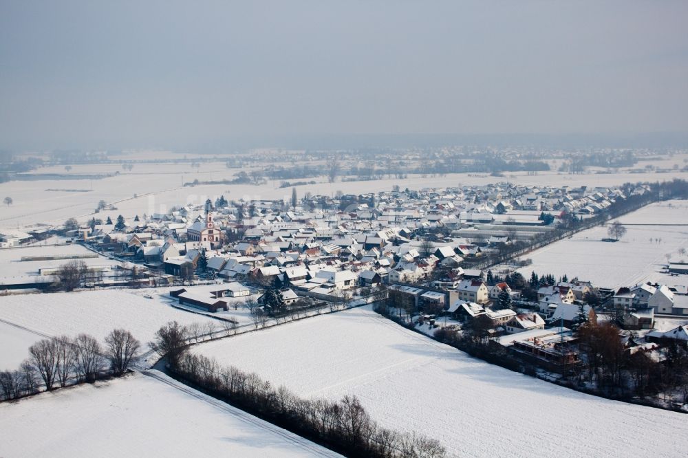 Luftaufnahme Neupotz - Winterluftbild Dorf - Ansicht am Rande von Feldern in Neupotz im Bundesland Rheinland-Pfalz