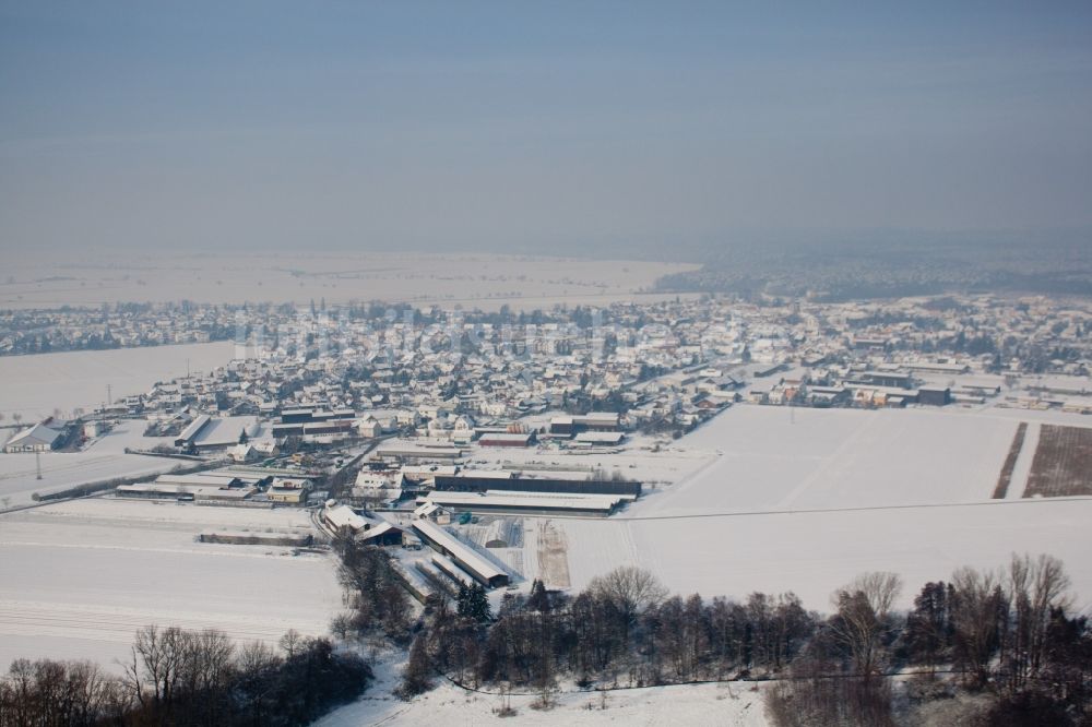 Rheinzabern von oben - Winterluftbild Dorf - Ansicht am Rande von Feldern in Rheinzabern im Bundesland Rheinland-Pfalz, Deutschland