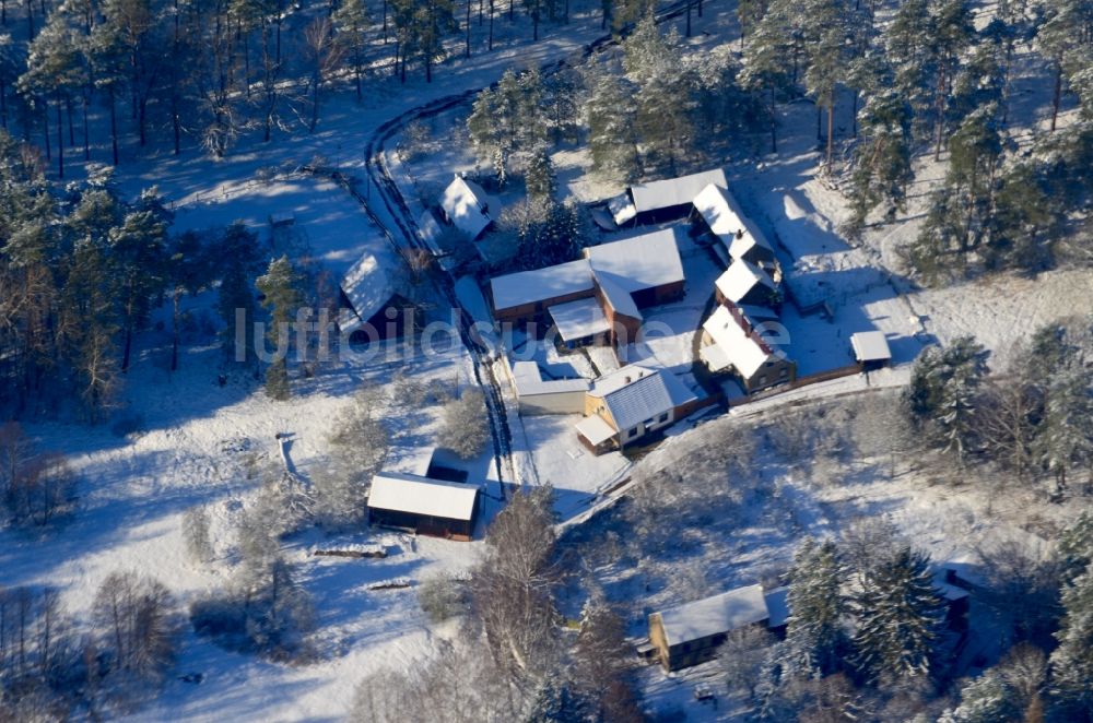 Luftbild Hohenspringe - Winterluftbild Dorf - Ansicht am Rande Waldgebieten in Hohenspringe im Bundesland Brandenburg, Deutschland