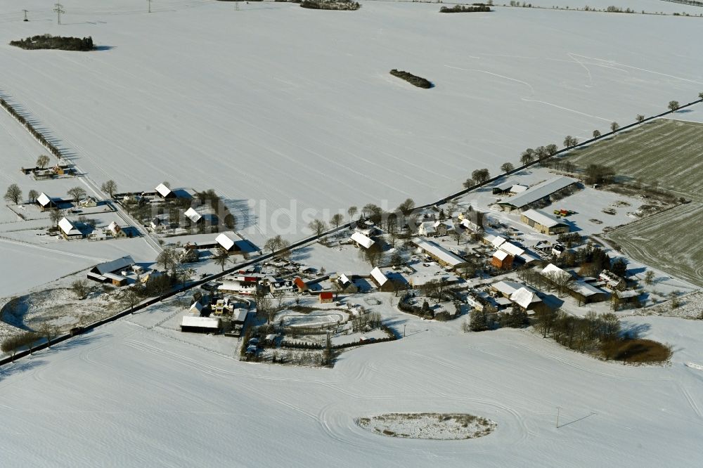 Wüstenfelde aus der Vogelperspektive: Winterluftbild Dorfkern am Feldrand in Wüstenfelde im Bundesland Mecklenburg-Vorpommern, Deutschland