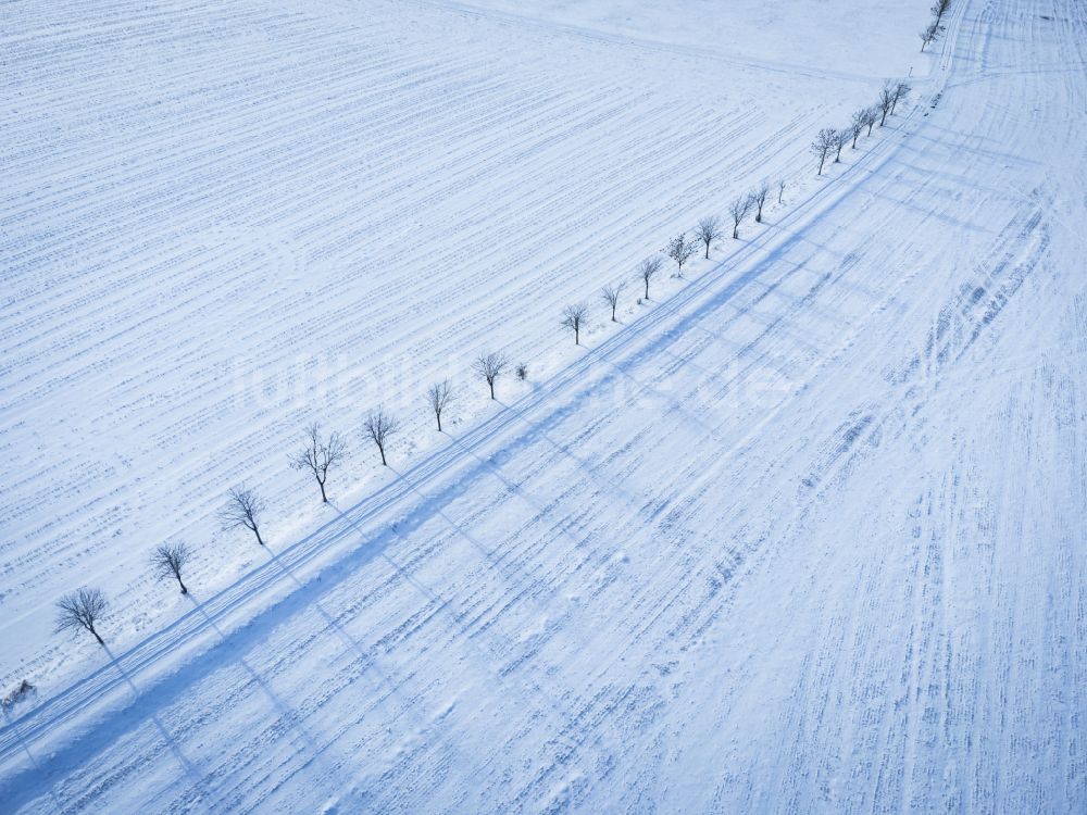 Altenberg aus der Vogelperspektive: Winterluftbild Felder in Altenberg im Bundesland Sachsen, Deutschland