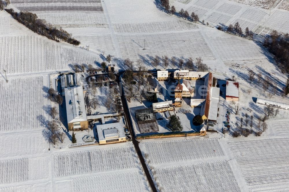 Siebeldingen von oben - Winterluftbild Gebäudekomplex des Julius Kühn-Institut Rebforschungsanstalt Geilweilerhof mit blühenden Mandelbäumen in Siebeldingen im Bundesland Rheinland-Pfalz, Deutschland