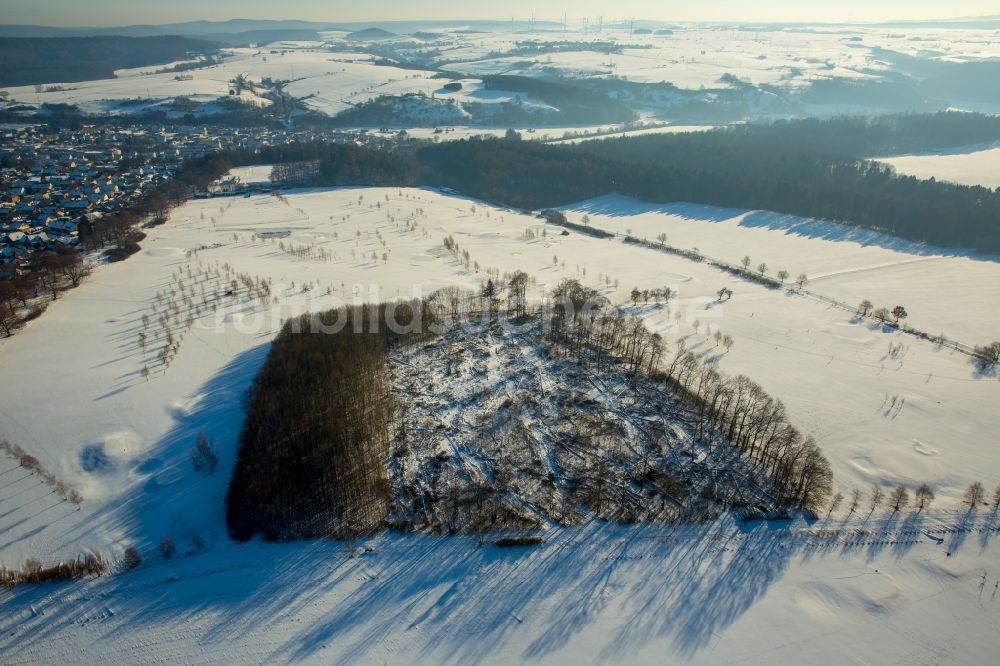 Luftaufnahme Marsberg - Winterluftbild gefällter Baumstämme an einem Waldgrundstück im Ortsteil Westheim in Marsberg im Bundesland Nordrhein-Westfalen