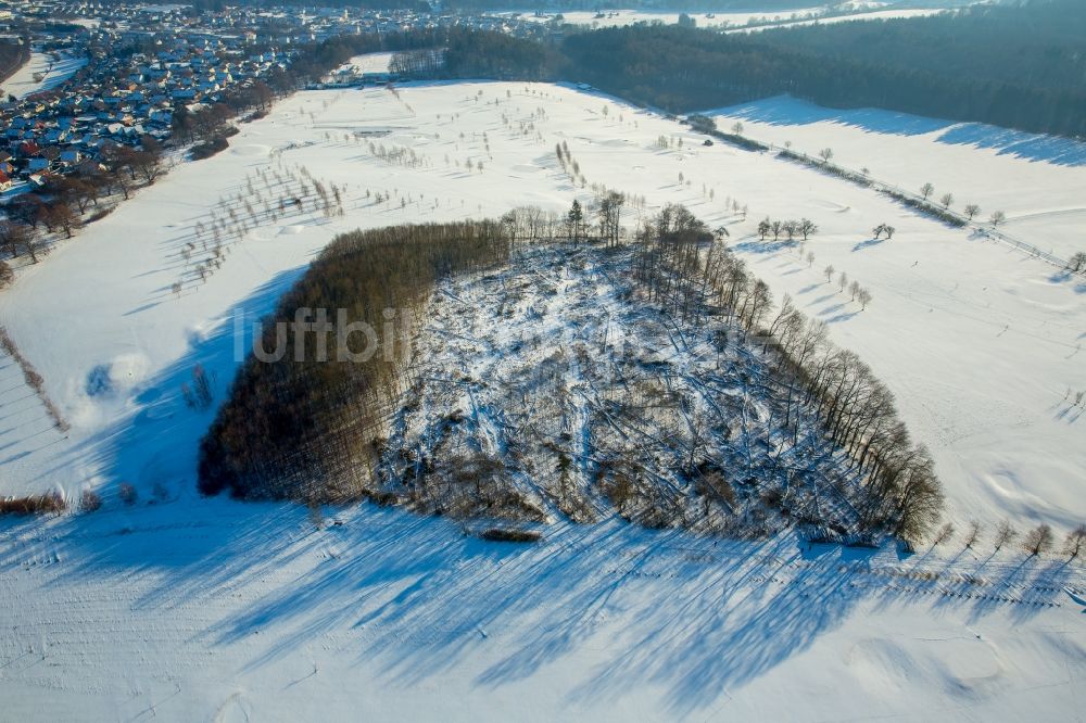 Marsberg von oben - Winterluftbild gefällter Baumstämme an einem Waldgrundstück im Ortsteil Westheim in Marsberg im Bundesland Nordrhein-Westfalen