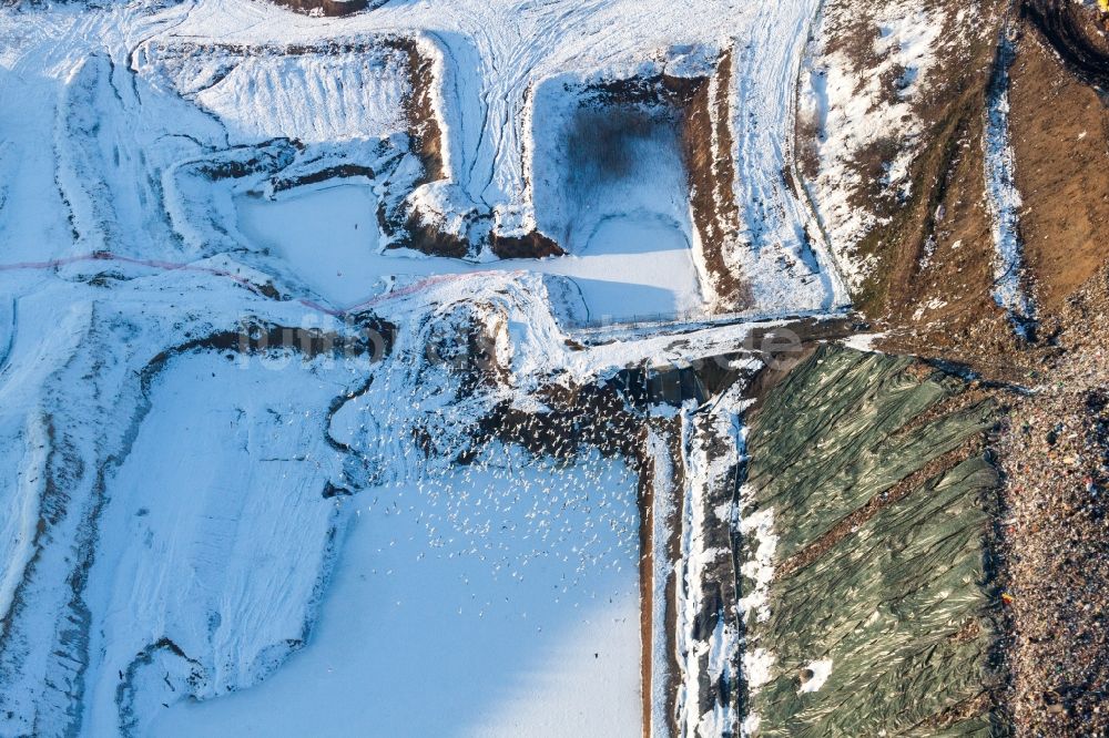 Schaffhouse-pres-Seltz von oben - Winterluftbild Gelände der aufgeschütteten Mülldeponie in Schaffhouse-pres-Seltz in Grand Est, Frankreich