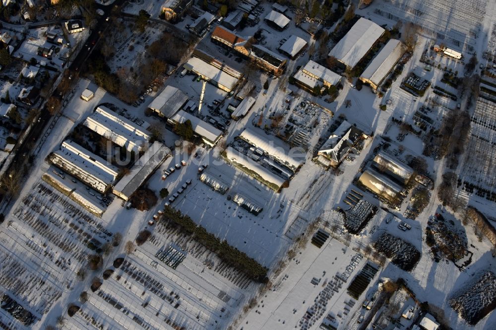 Berlin aus der Vogelperspektive: Winterluftbild Gelände der Späth'schen Baumschulen Handel GmbH in Berlin