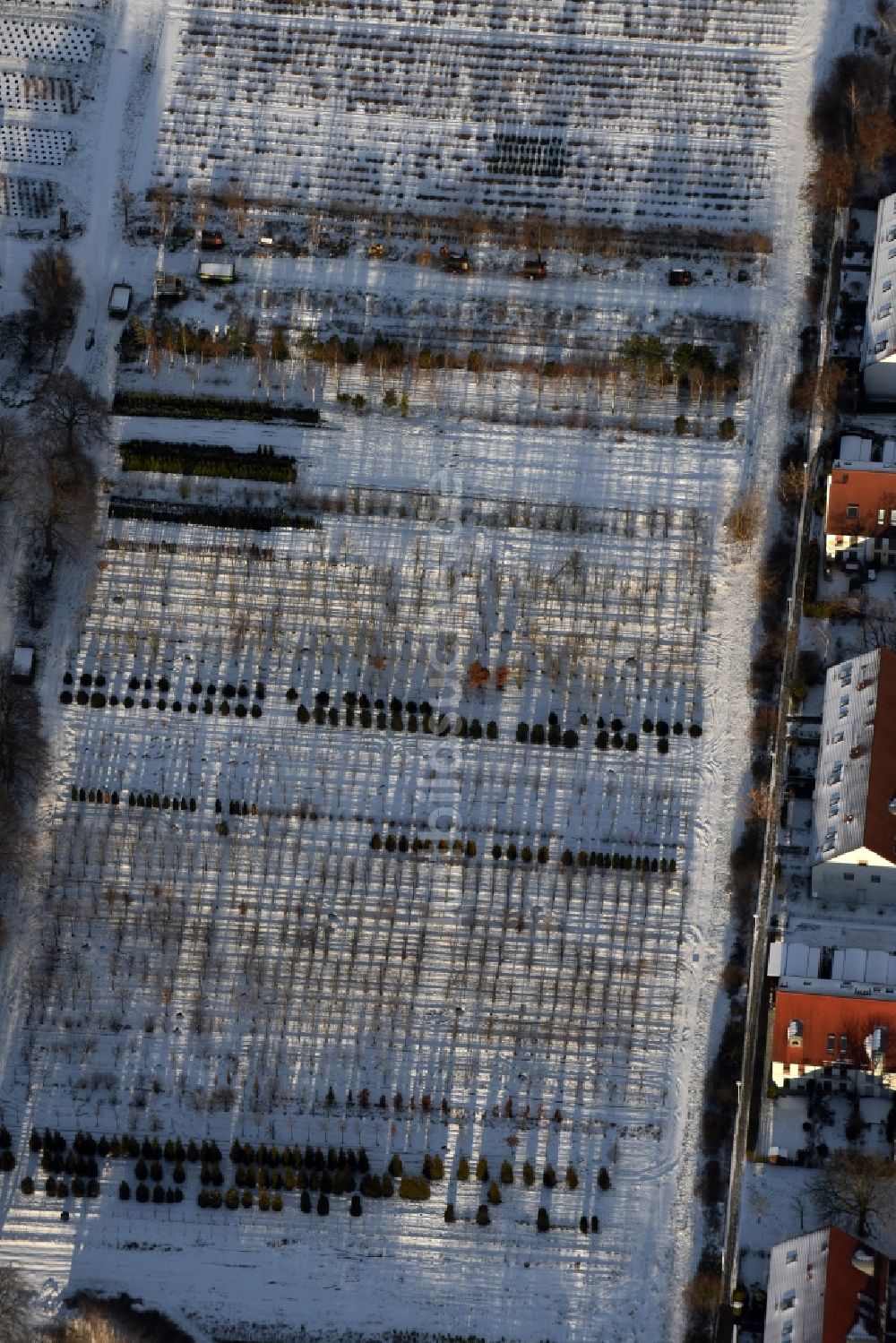 Berlin aus der Vogelperspektive: Winterluftbild Gelände der Späth'schen Baumschulen Handel GmbH in Berlin