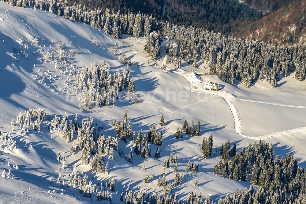 Luftbild Feldberg (Schwarzwald) - Winterluftbild Gipfel in der Felsen- und Berglandschaft in Feldberg (Schwarzwald) im Bundesland Baden-Württemberg, Deutschland