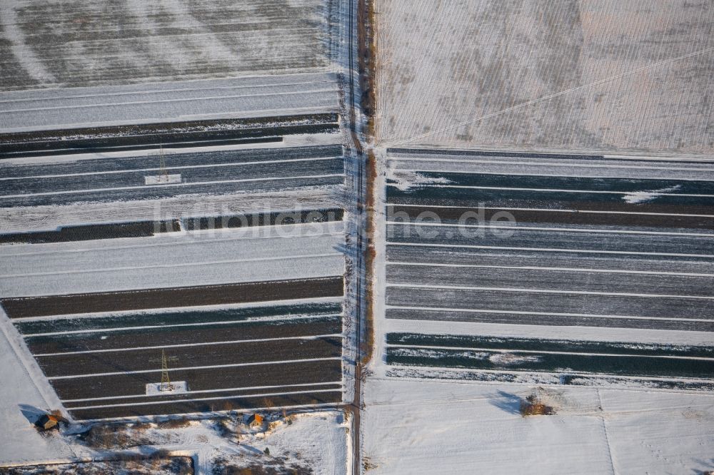 Luftbild Niederlangen - Winterluftbild Strukturen auf landwirtschaftlichen Feldern in Niederlangen im Bundesland Niedersachsen, Deutschland