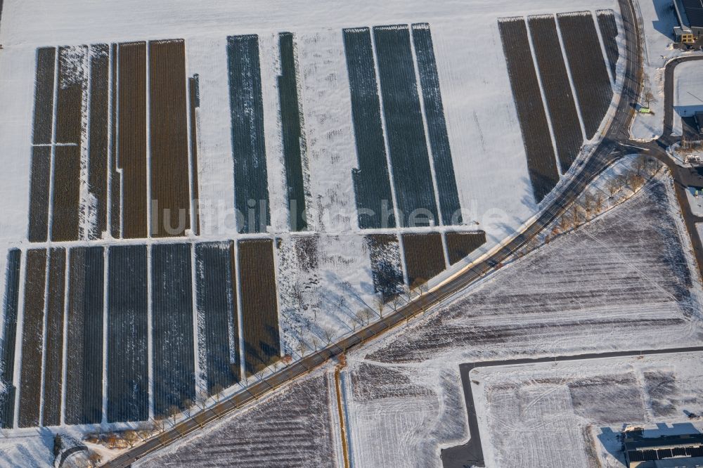 Luftaufnahme Niederlangen - Winterluftbild Strukturen auf landwirtschaftlichen Feldern in Niederlangen im Bundesland Niedersachsen, Deutschland