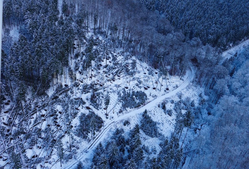 Witzenhausen aus der Vogelperspektive: Winterluftbild Sturmschäden durch Sturm Friederike im Wald in Witzenhausen im Bundesland Hessen, Deutschland