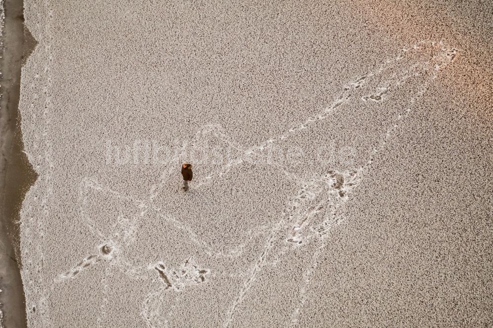 Möhnesee aus der Vogelperspektive: Winterluftbild Uferbereiche des Möhnesee in Möhnesee im Bundesland Nordrhein-Westfalen