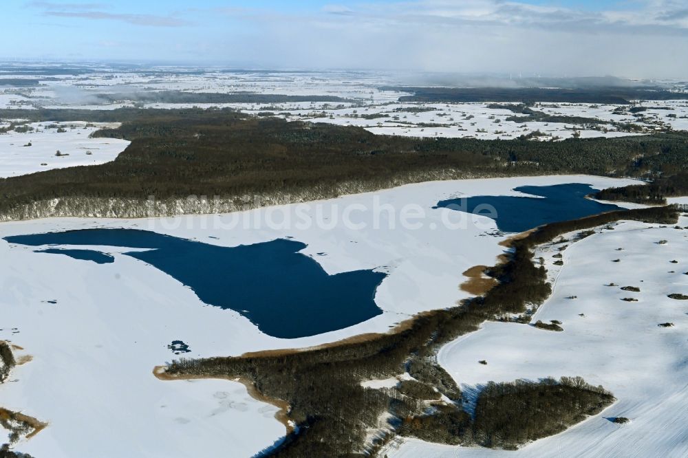 Feldberg von oben - Winterluftbild Uferbereiche des Sees Breiter Luzin in Feldberg im Bundesland Mecklenburg-Vorpommern, Deutschland