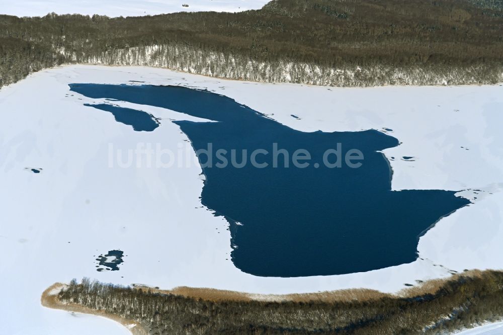 Luftbild Feldberg - Winterluftbild Uferbereiche des Sees Breiter Luzin in Feldberg im Bundesland Mecklenburg-Vorpommern, Deutschland