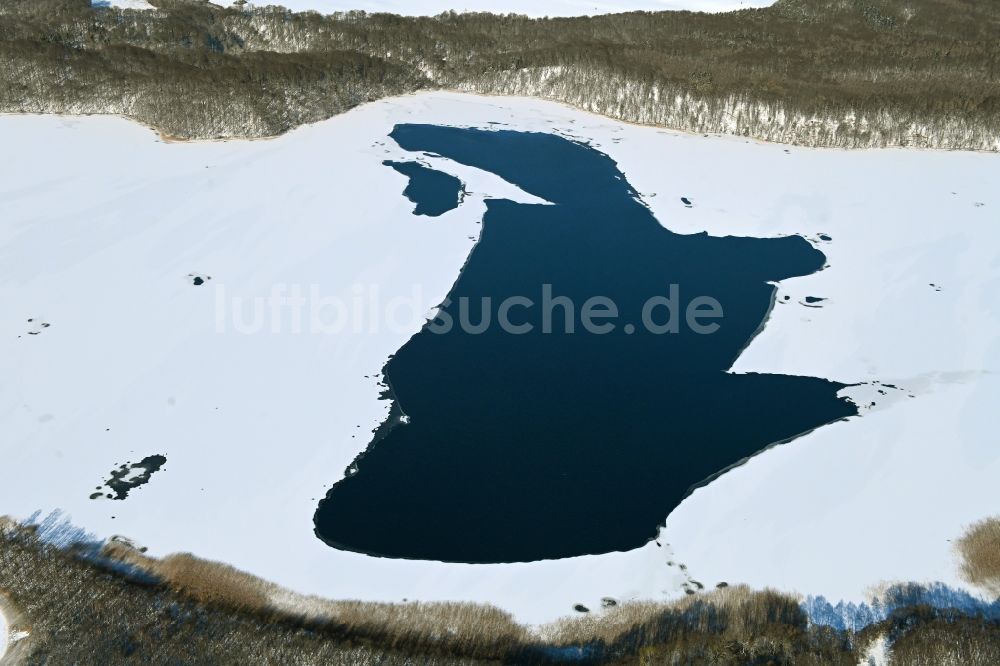 Feldberg aus der Vogelperspektive: Winterluftbild Uferbereiche des Sees Breiter Luzin in Feldberg im Bundesland Mecklenburg-Vorpommern, Deutschland