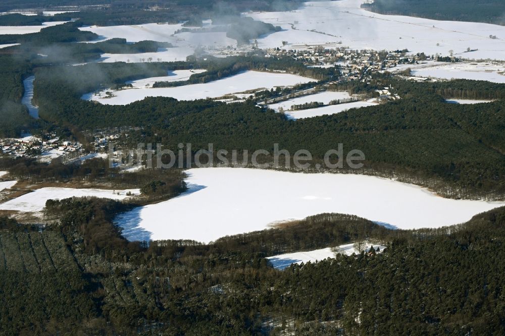 Luftaufnahme Biesenthal - Winterluftbild Uferbereiche des Sees Bukowsee in einem Waldgebiet in Biesenthal im Bundesland Brandenburg, Deutschland