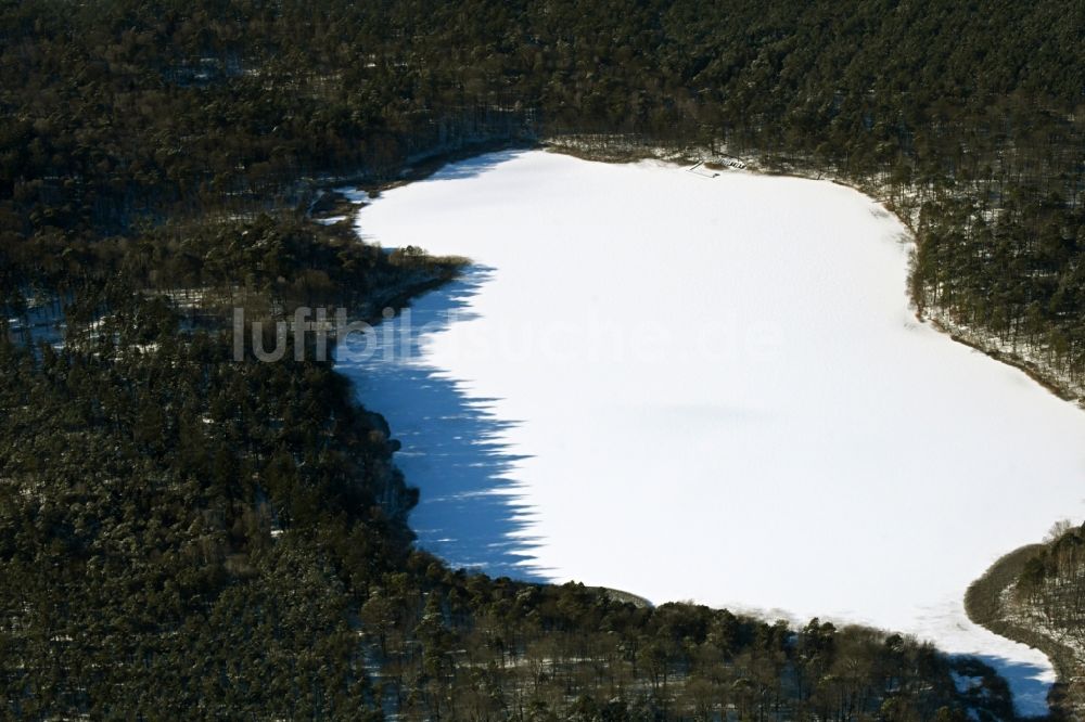 Biesenthal von oben - Winterluftbild Uferbereiche des Sees Bukowsee in einem Waldgebiet in Biesenthal im Bundesland Brandenburg, Deutschland